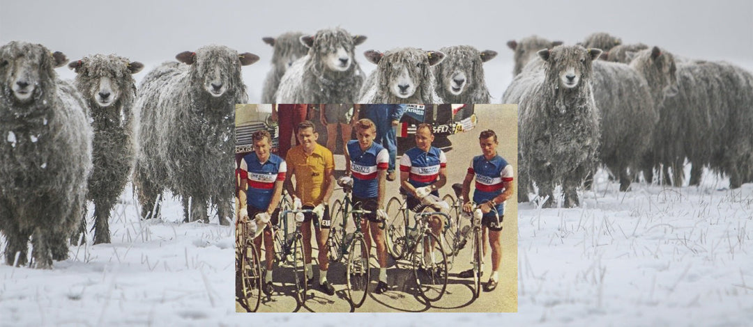 Meet a Whole New Breed of Wool - DeFeet